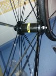 IMG-20171111-WA0041.jpg