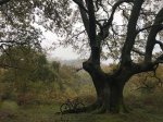 IMG-20171112-WA0000.jpg