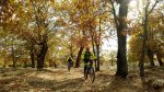 IMG20171112141741.jpg