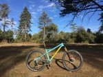 IMG-20171117-WA0006.jpg