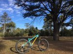 IMG-20171117-WA0004.jpg