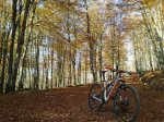 rps20171117_223715.jpg