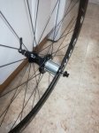 IMG-20171120-WA0004.jpg