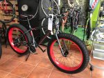 milanuncios 350 euros con envio.JPG