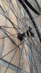 20171121_174225.jpg