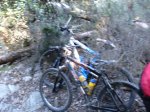 DSC04074.JPG