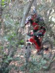 DSC04088.JPG