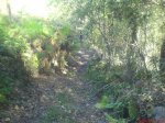 DSC00200web.jpg