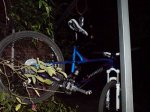 DSC00754.jpg