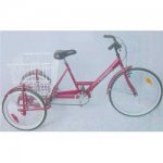 Triciclo.jpg