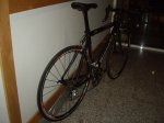 IMGP1225-2.jpg