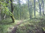 DSC00429.JPG