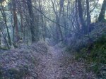 DSC00431.JPG