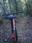 DSC00434.JPG