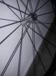 IMG-20171125-WA0015.jpg