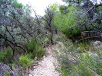 DSC02025.JPG