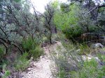 DSC02027.JPG