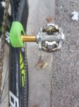 IMG-20171126-WA0022.jpg