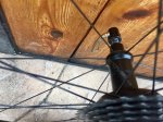 IMG_3087.jpeg