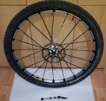 Rueda D (1).jpg