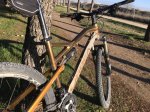 IMG_0289.jpeg