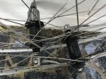 IMG_8067.jpg
