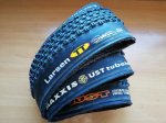 maxxis larsen.jpg