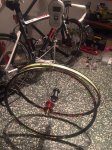 IMG-20171208-WA0011.jpg