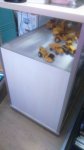 IMG-20171206-WA0013.jpg