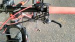 image1.jpeg