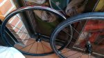 IMG-20171211-WA0034.jpg