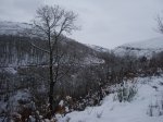nieve2web.jpg
