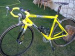 Giant 012.jpg