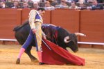 torero.jpg