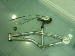 DSC07642.JPG
