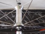 Zipp2.JPG