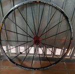 20171216_144816.jpg