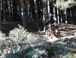 IMG_20171216_113942.jpg