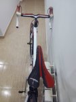 IMG_20171217_175026.jpg