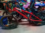 IMG_20150911_184230.jpg