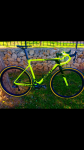 24F6AF60-C505-42B6-A612-0F6918F38A06.png