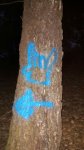 IMG-20171225-WA0005.jpg