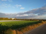 IMG_20171226_085823.jpg