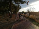 IMG_20171227_170819.jpg