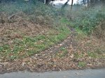 DSC01627.JPG