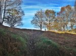 DSC01647.JPG