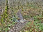 DSC01664.JPG