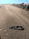 IMG_20180101_123234.jpg