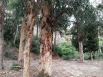 IMG_20171231_120026.jpg