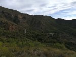 IMG_20171231_120538.jpg